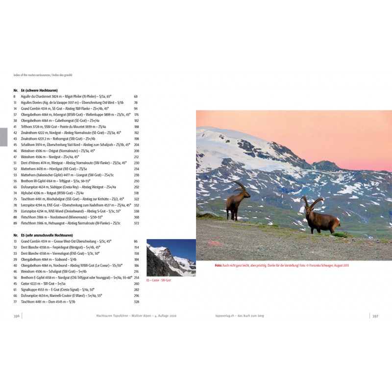 Topoführer Walliser Alpen