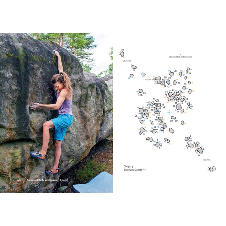 Boulderführer Fontainebleau